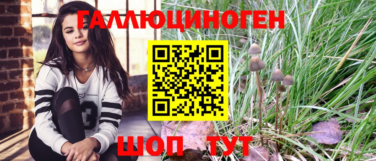 Галлюциногенные грибы GOLDEN TEACHER  Вход с VPN  Лосино-Петровский  Галлюциногенные грибы мухоморы 