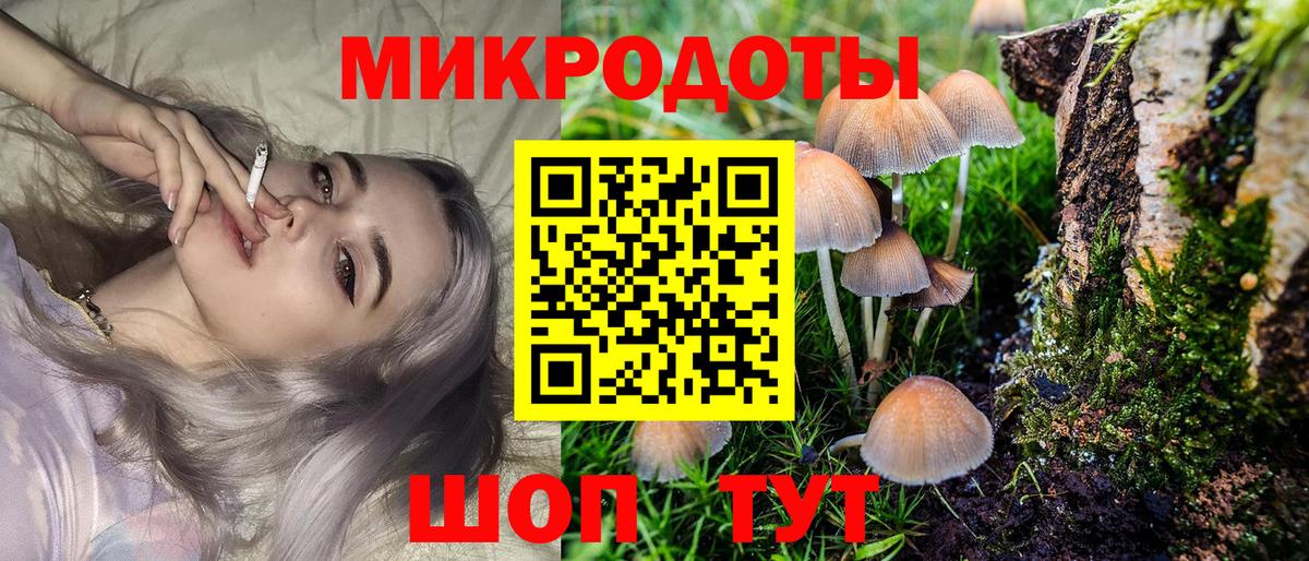 Псилоцибиновые грибы Cubensis Лосино-Петровский