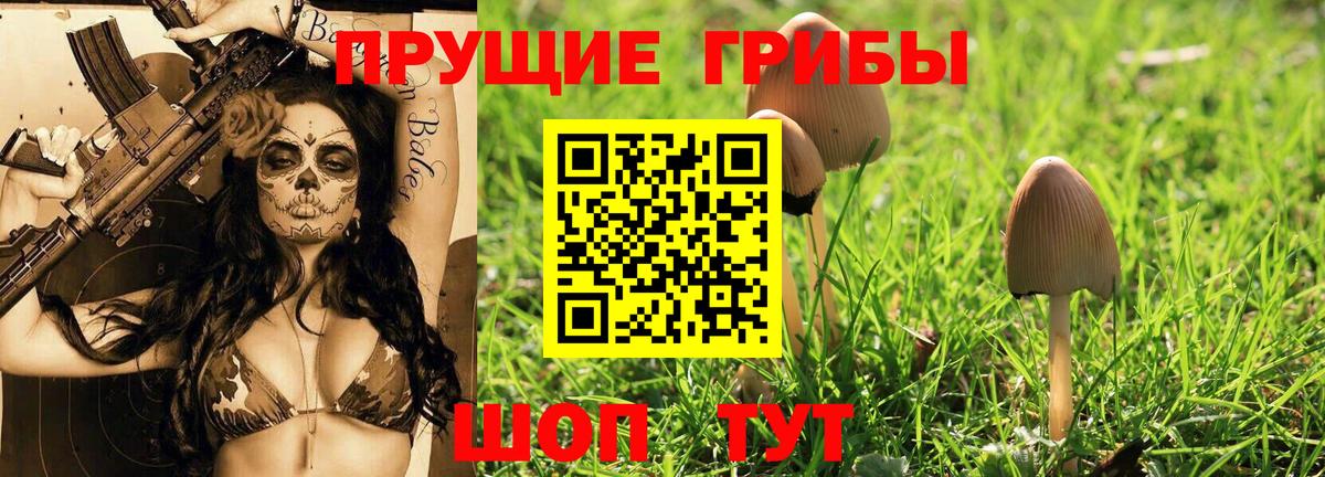 Псилоцибиновые грибы Лосино-Петровский