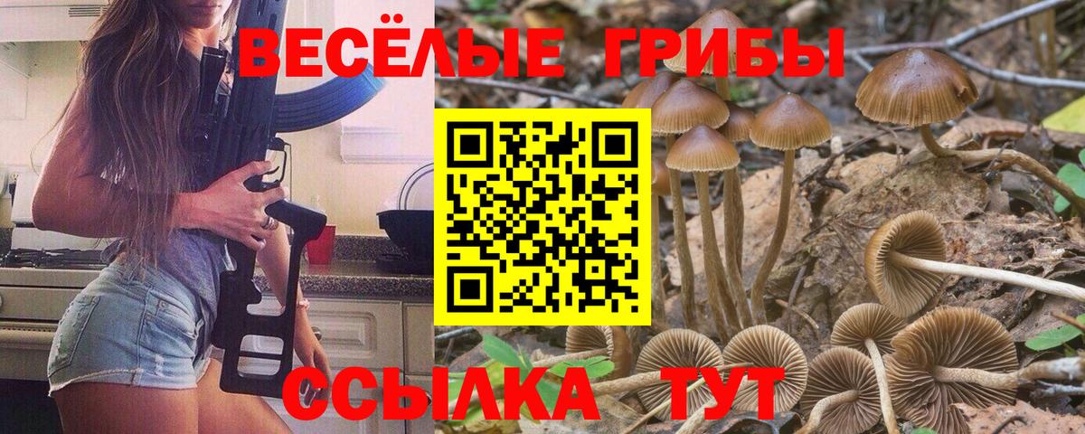 Меф МЯУ МЯУ кристаллы  ГАШ  ГАШИШ  Бошки Шишки  Лосино-Петровский  КОКАИН  Амфетамин   Меф МЯУ МЯУ  Вход с VPN  Alpha-PVP СК  
